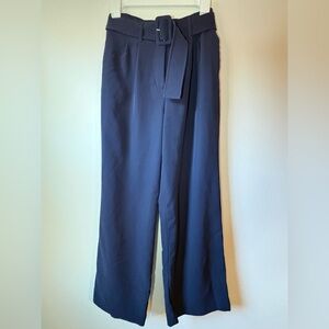 Express Navy Wide Leg Women's Pants